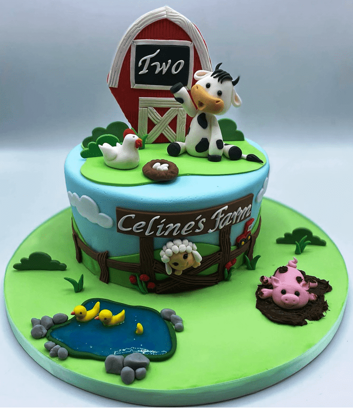 Marvelous Farm  Cake