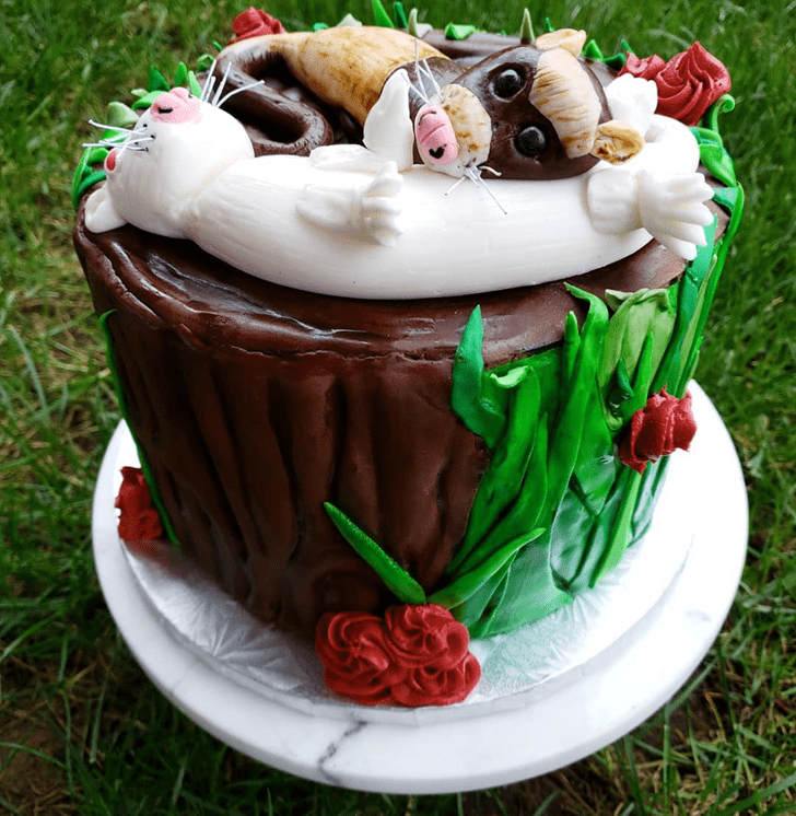 Cute Ferret Cake