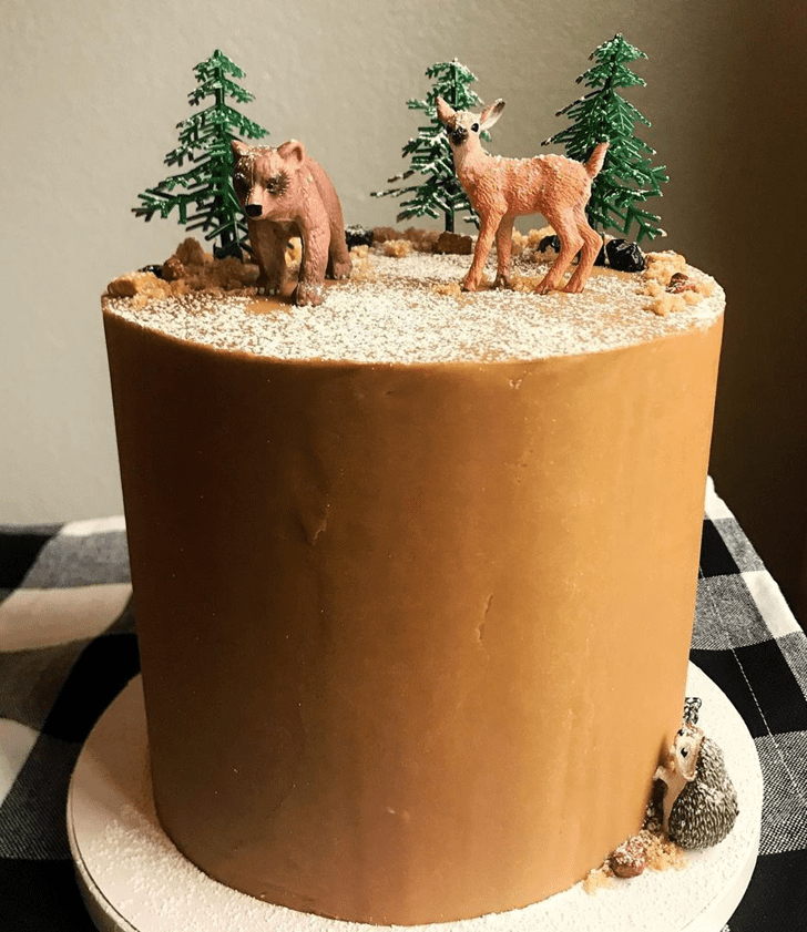 Excellent Forest Cake