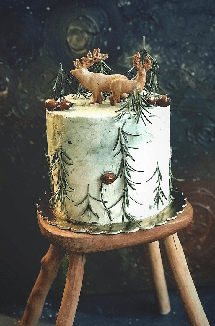 Resplendent Forest Cake