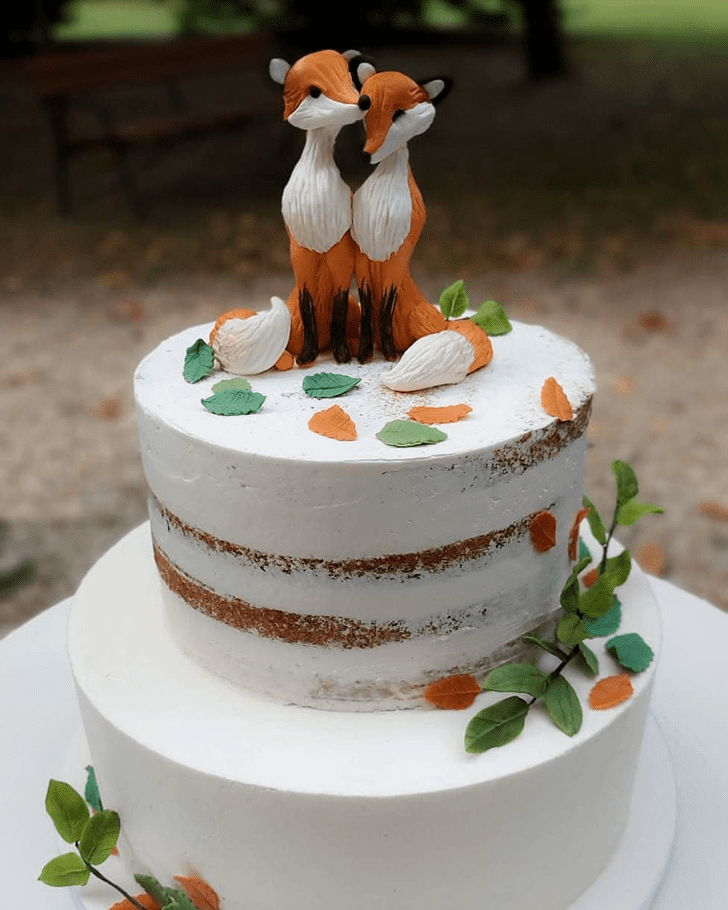Magnetic Fox Cake