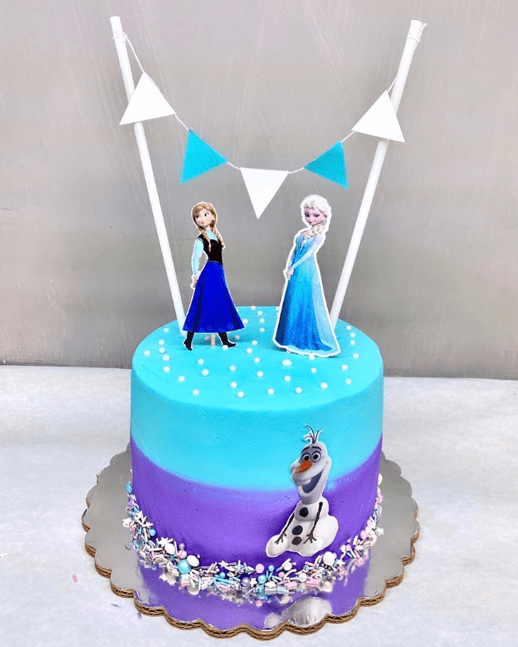 Magnetic Disneys Frozen Cake