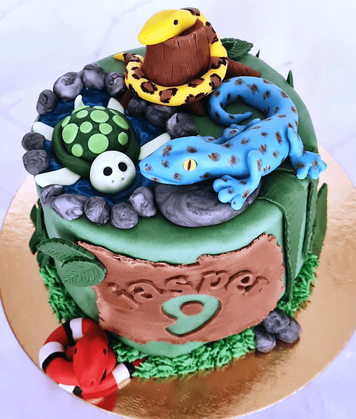 Enticing Gecko  Cake