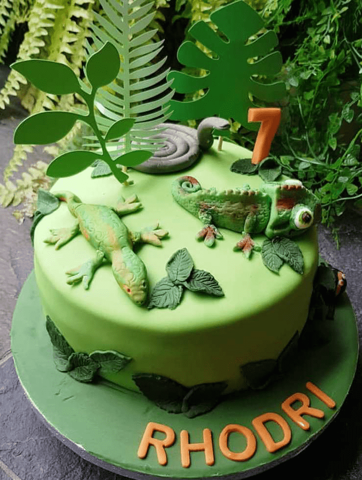Excellent Gecko  Cake