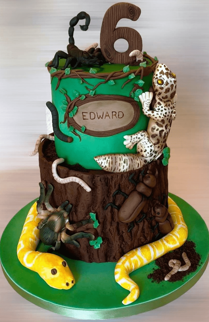 Fair Gecko  Cake