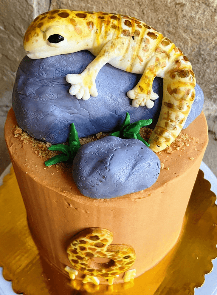 Good Looking Gecko  Cake
