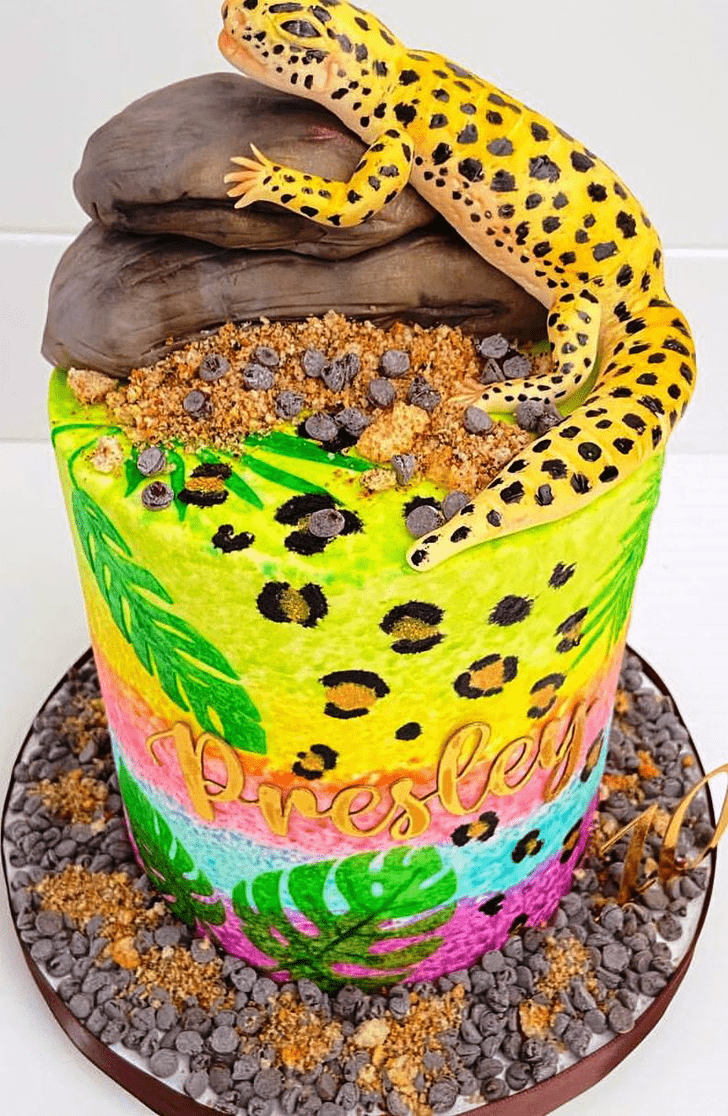 Grand Gecko  Cake