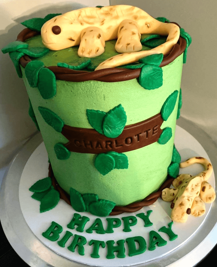 Ideal Gecko  Cake