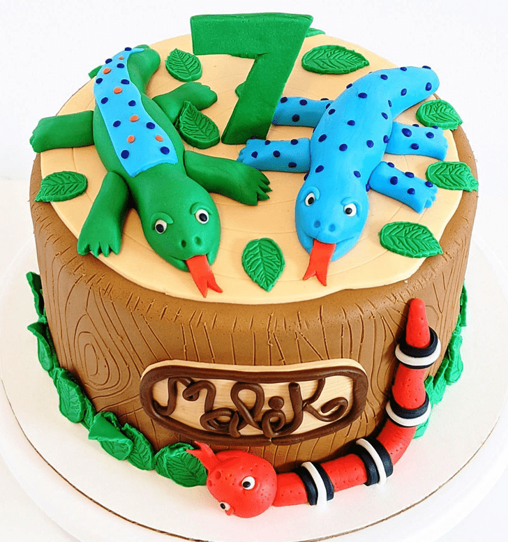Magnetic Gecko  Cake