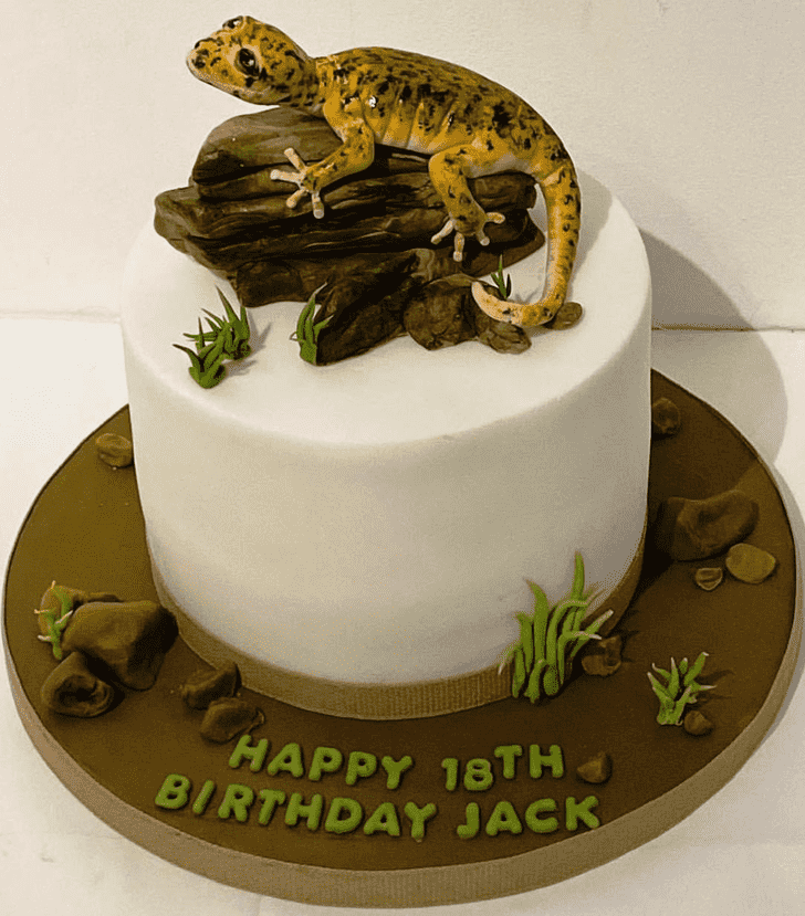 Pretty Gecko  Cake