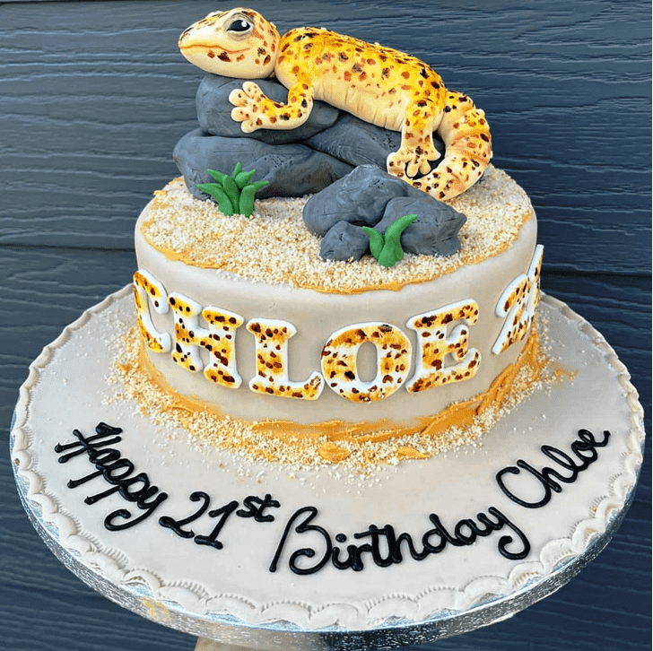 Shapely Gecko  Cake
