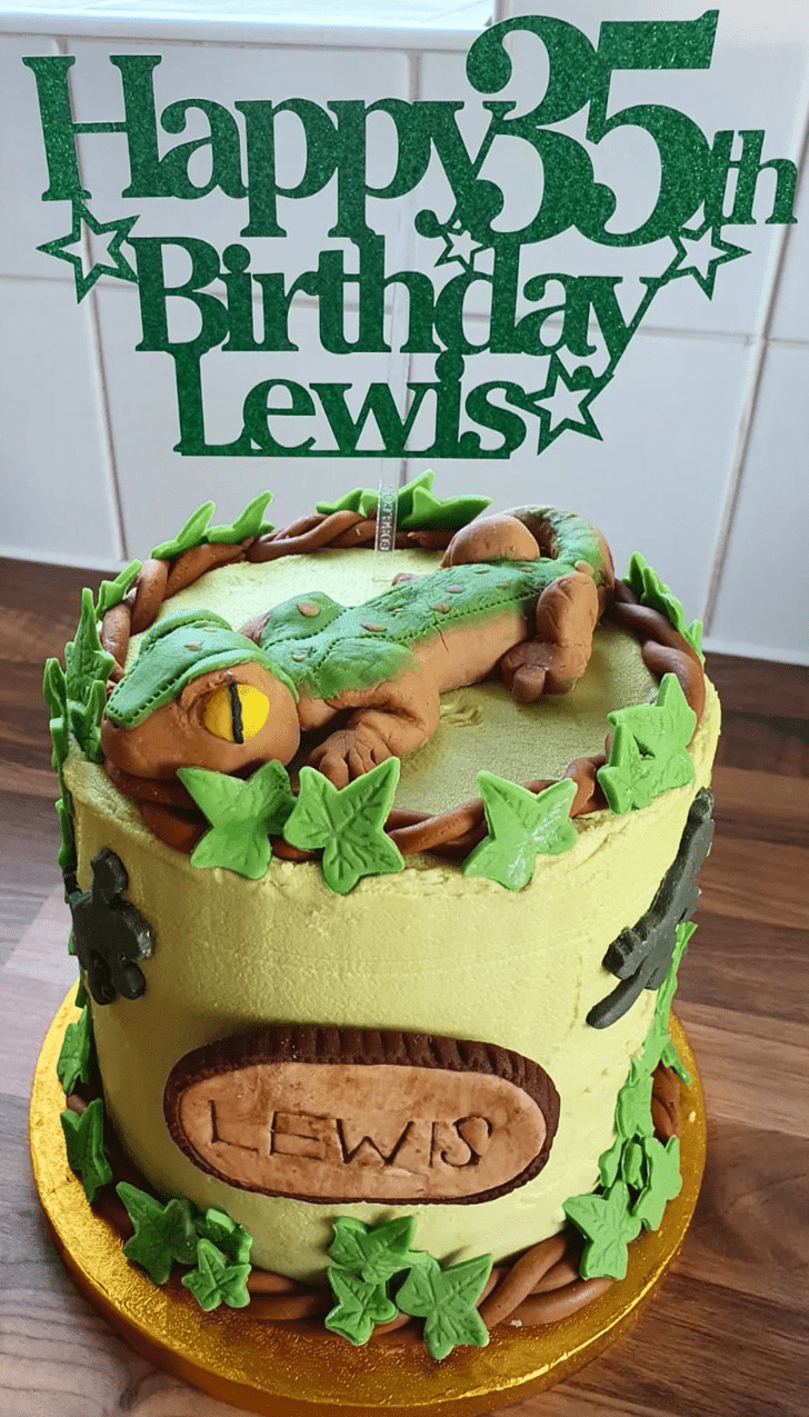 Slightly Gecko  Cake