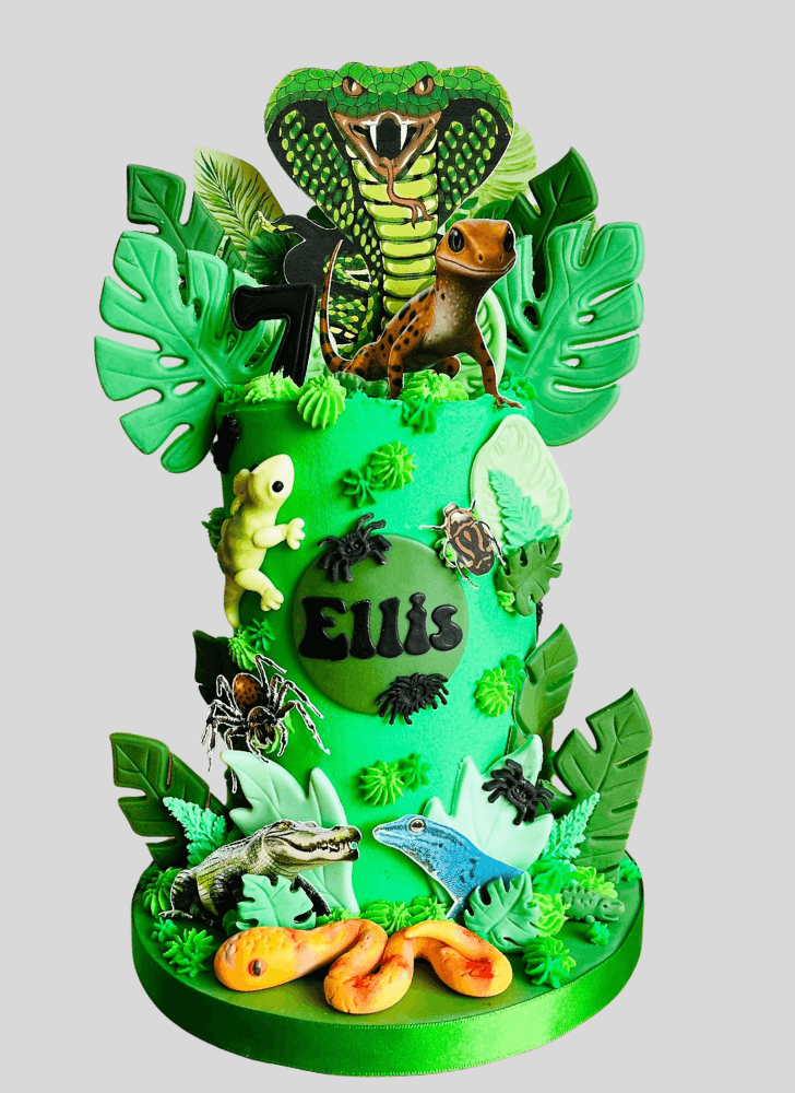 Delightful Gecko  Cake