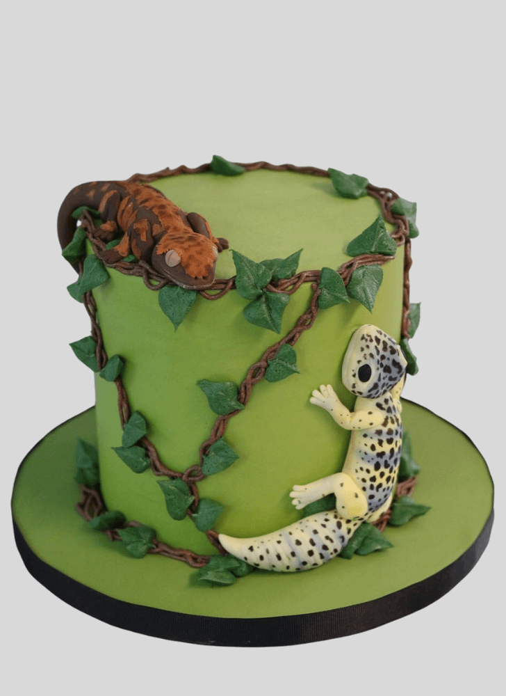 Divine Gecko  Cake