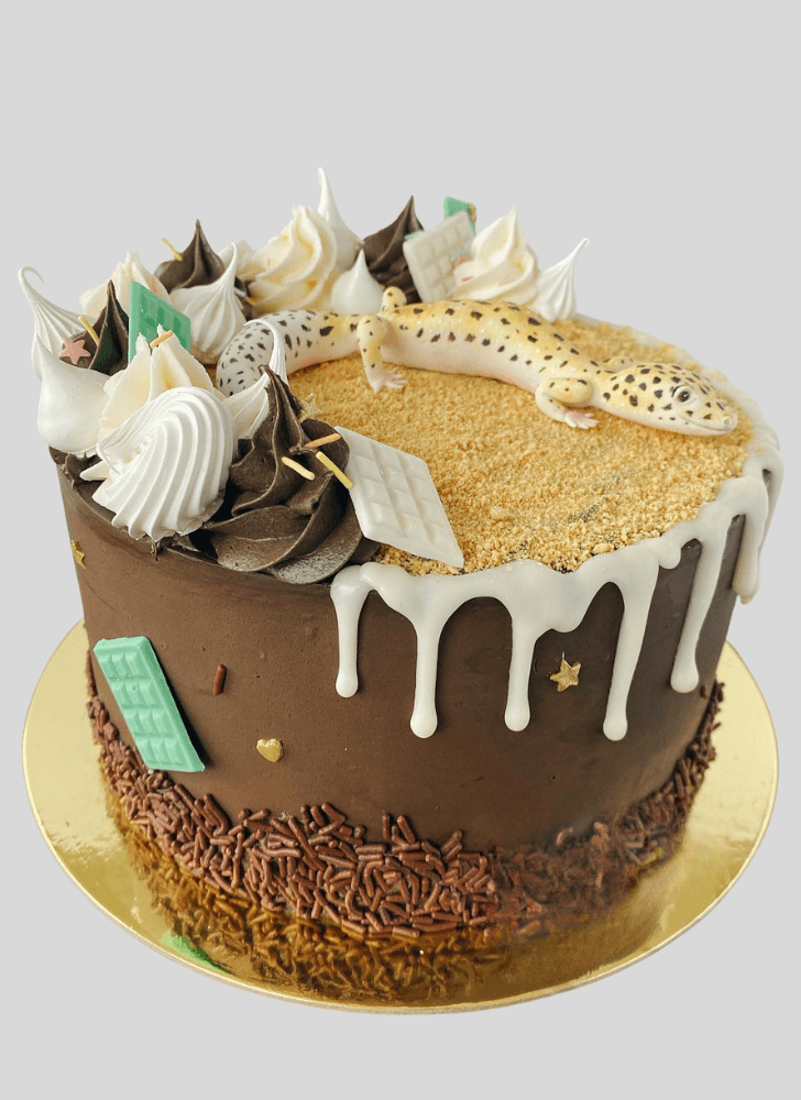 Enticing Gecko  Cake