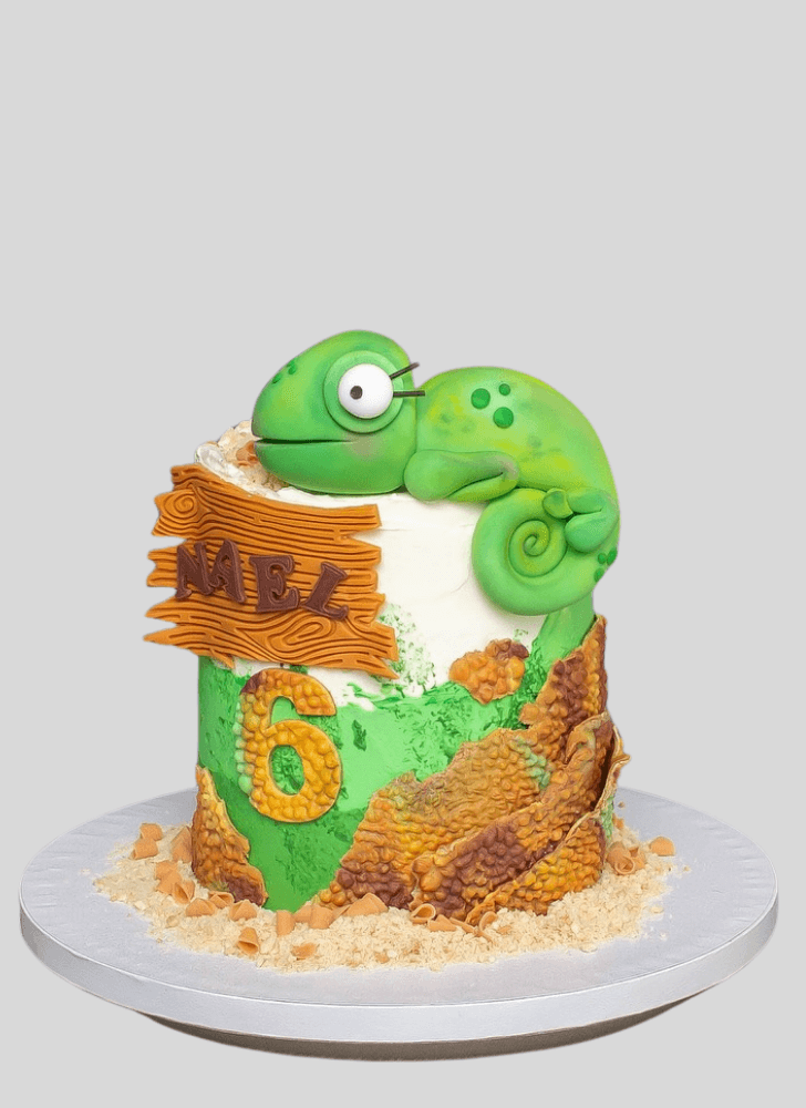 Fair Gecko  Cake