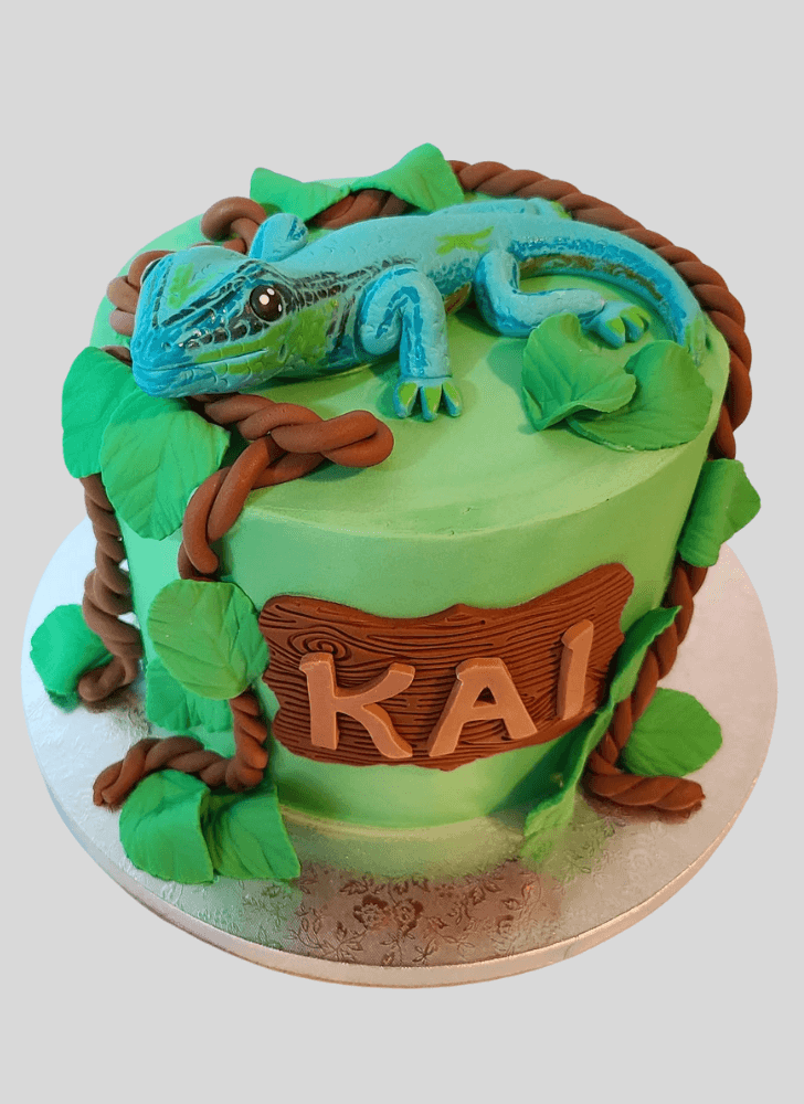 Fine Gecko  Cake