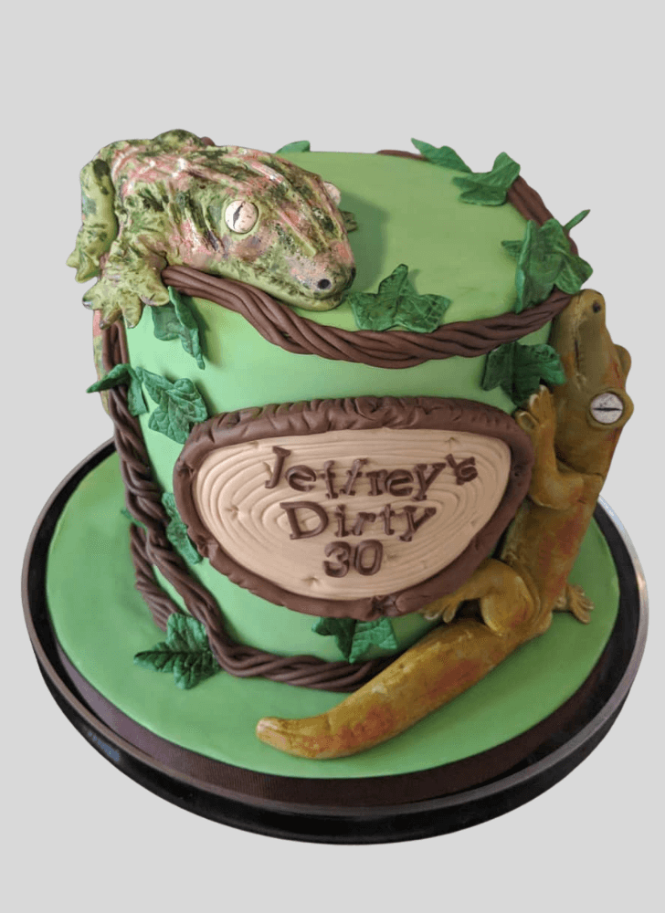 Good Looking Gecko  Cake