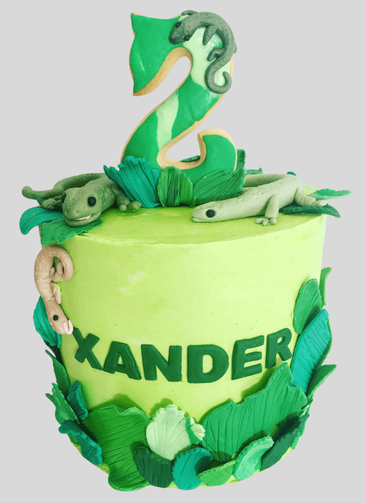 Graceful Gecko  Cake