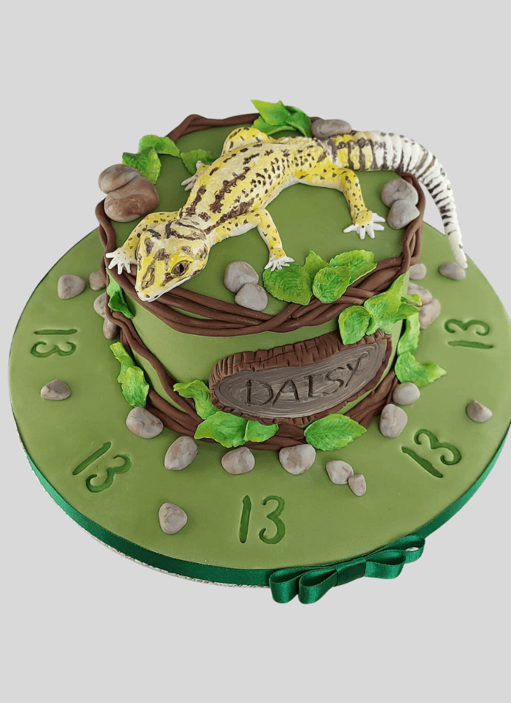 Ideal Gecko  Cake