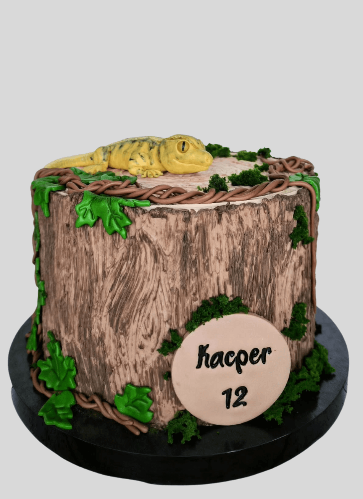 Magnetic Gecko  Cake