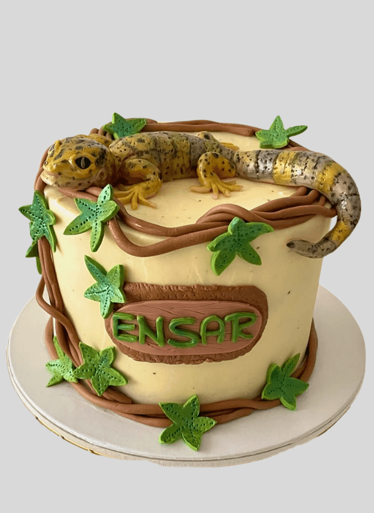 Pretty Gecko  Cake