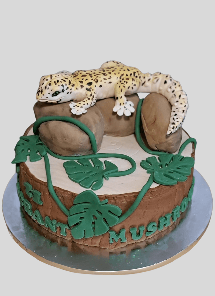 Refined Gecko  Cake