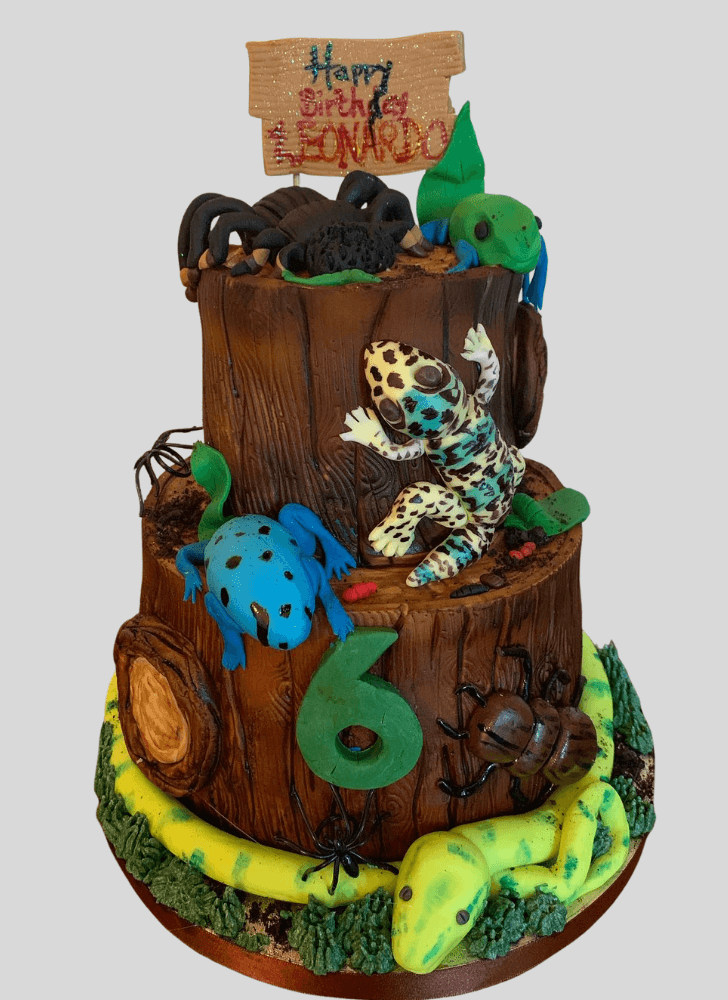Shapely Gecko  Cake