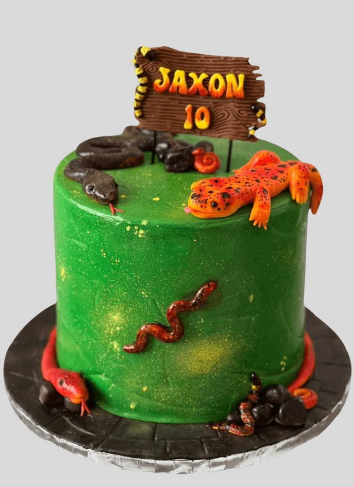 Slightly Gecko  Cake