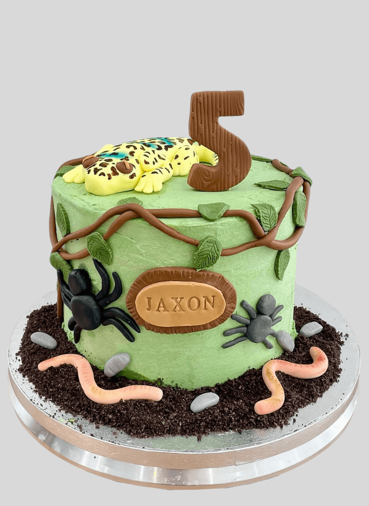 Splendid Gecko  Cake