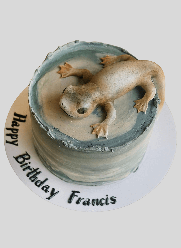 Stunning Gecko  Cake