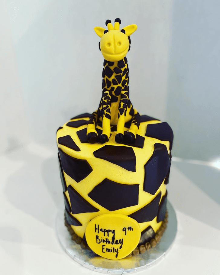 Magnetic Giraffe Cake