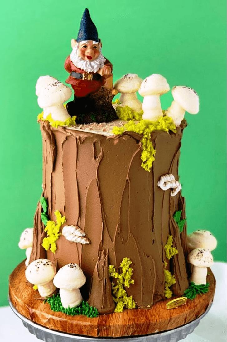 Enthralling Gnome Cake