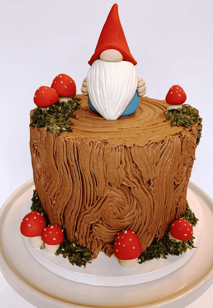 Handsome Gnome Cake