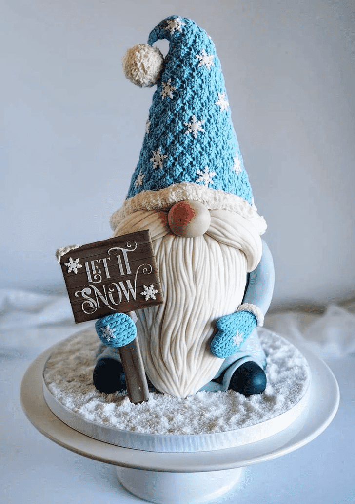 Splendid Gnome Cake