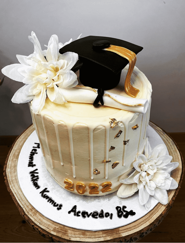 Fair Graduation Cake