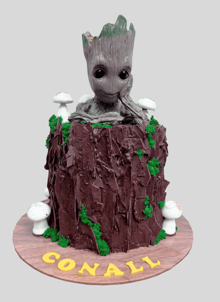 Nice Groot Cake