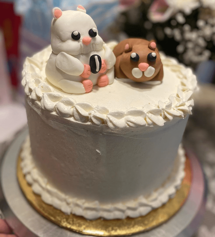 Comely Hamster Cake