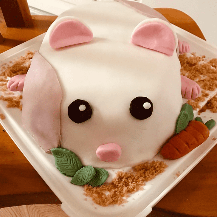 Dazzling Hamster Cake