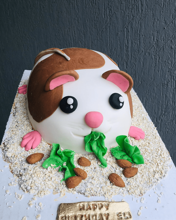 Gorgeous Hamster Cake