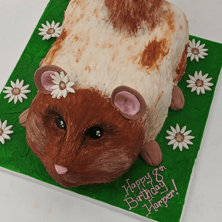 Refined Hamster Cake