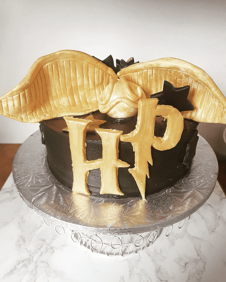 Appealing Harry Potter Cake