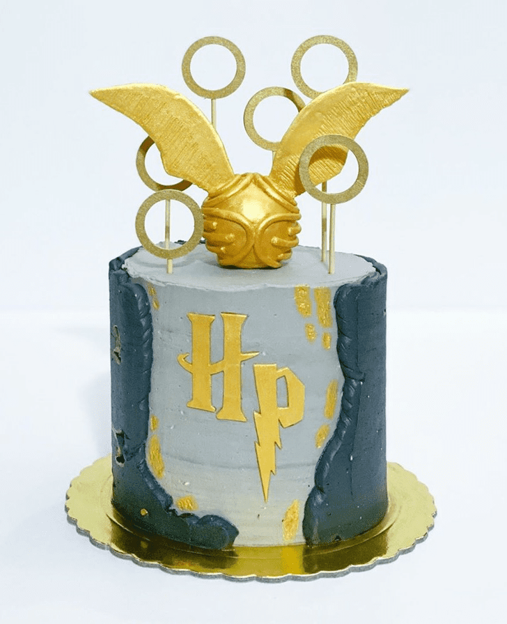 Captivating Harry Potter Cake