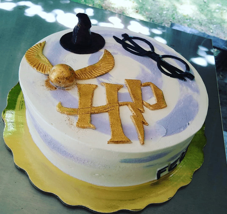 Comely Harry Potter Cake