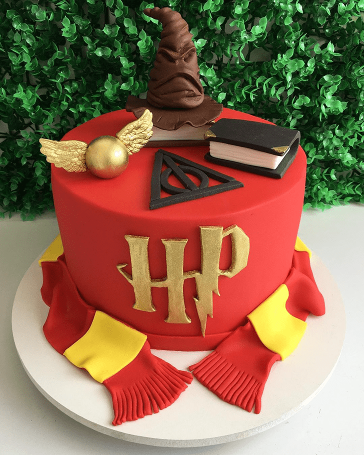 Dazzling Harry Potter Cake