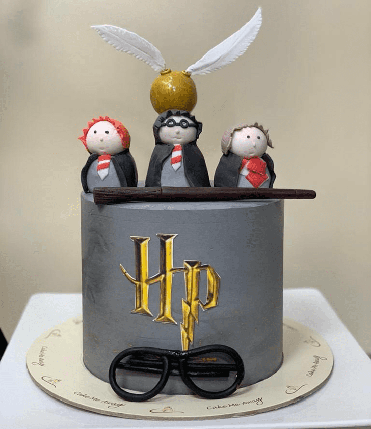 Divine Harry Potter Cake