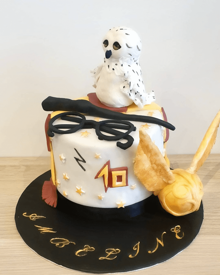 Fine Harry Potter Cake