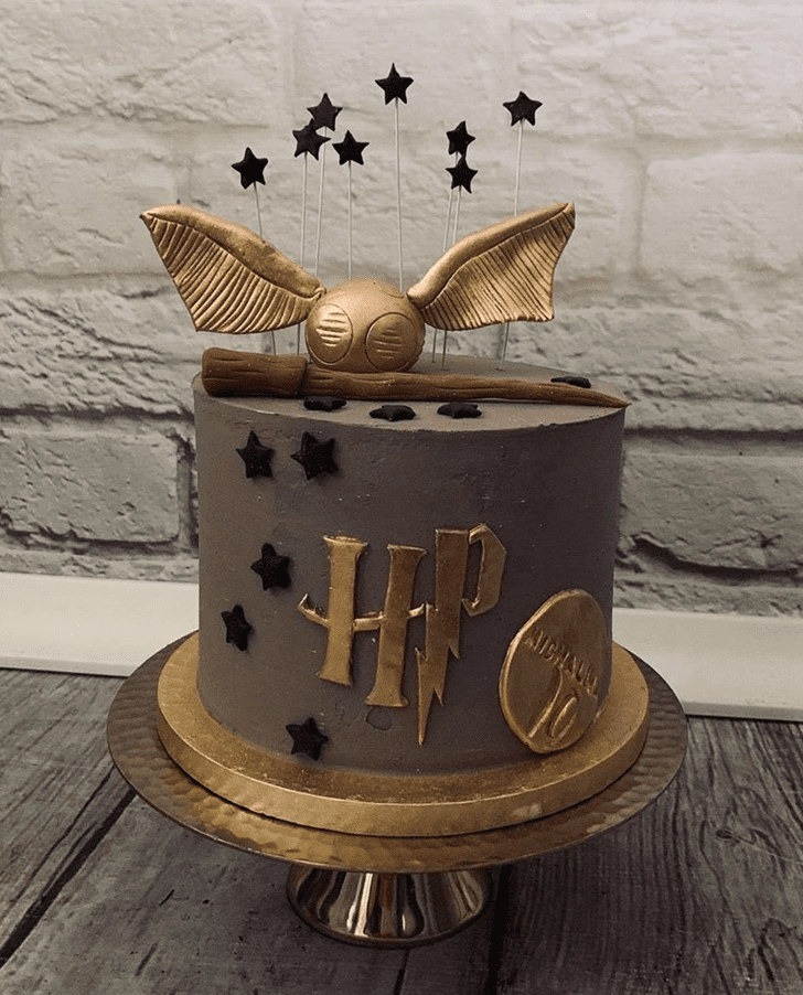 Gorgeous Harry Potter Cake
