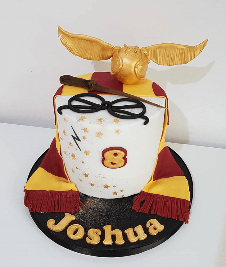 Handsome Harry Potter Cake