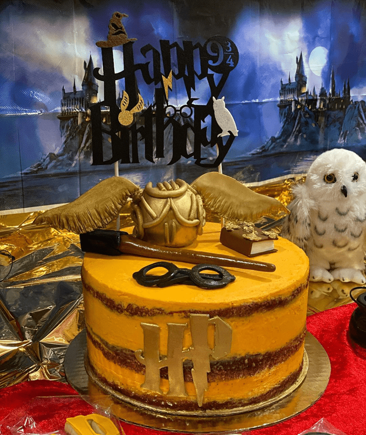 Ideal Harry Potter Cake